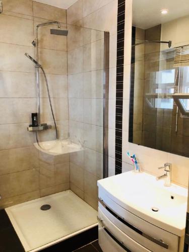 une salle de bain avec une douche et un lavabo et un lavabo dans l'établissement Ô Palais des Iles Two Bedroom Cannes, à Cannes