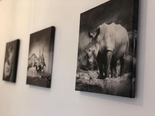 une photo d'un rhinocéros suspendu sur un mur dans l'établissement Best Apartment Suceava, à Suceava