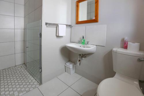 a bathroom with a toilet and a sink and a shower at 33 Berg Selfcatering in Swellendam