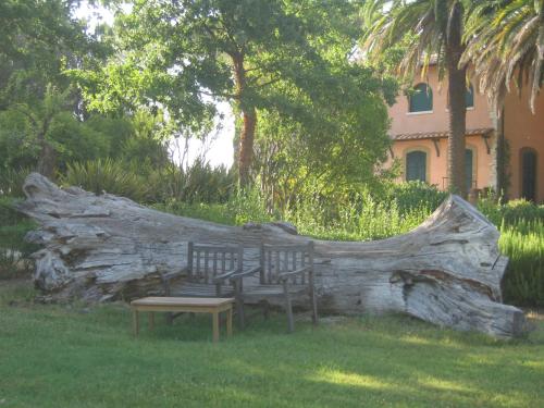 a bench sitting next to a large tree stump at Villa Acquaviva Wine Resort in Montemerano