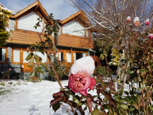 una rosa con un cappello di Babbo Natale davanti a una casa di De las Rosas Bariloche a San Carlos de Bariloche