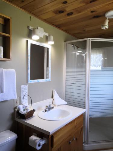 a bathroom with a sink and a shower at Cavendish Country Inn & Cottages in Cavendish