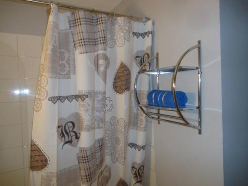 einen Duschvorhang mit Handtuchhalter und Dusche in der Unterkunft studio meublé avec balcon in Arcueil