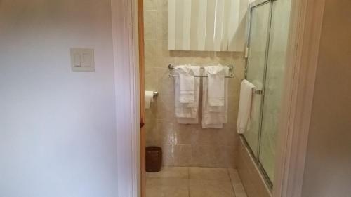 Bilik mandi di North Star Villas