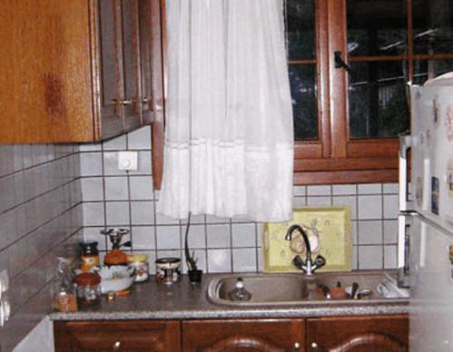 A kitchen or kitchenette at Gerakofolia Rooms to Let