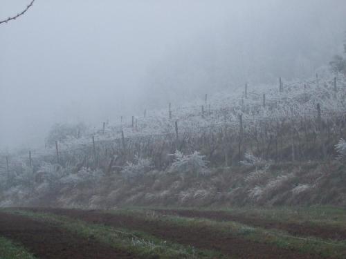 Agriturismo Cascina Rossano v zimě