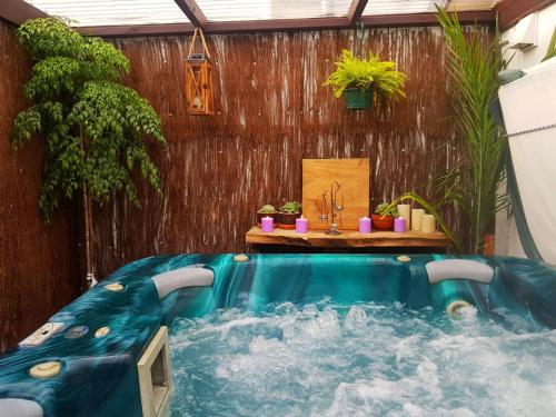 a jacuzzi tub in a room with plants at Riverside Accommodation in Karangahake