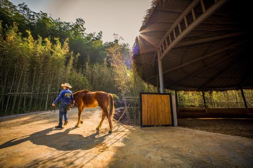 a man walking a brown horse in a barn at AHN LAN Ninghai in Ninghai