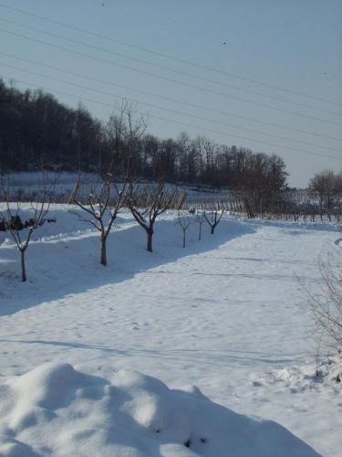 Agriturismo Cascina Rossano v zimě