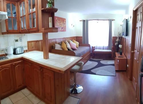 uma cozinha e sala de estar com um sofá num quarto em Depto Parque Suizo 800 em Pucón