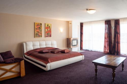 Villa Alicante & SPA – Photos 3