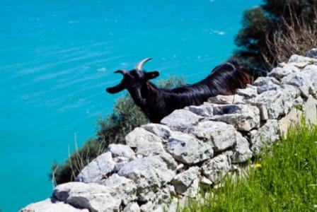 case vacanza montesaraceno – Photos 3