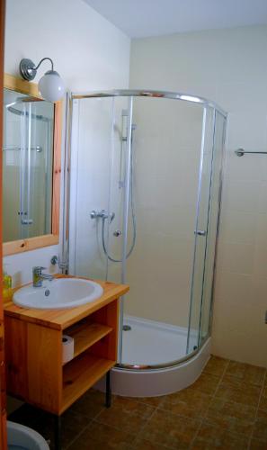 a bathroom with a shower and a sink at BIO Farma & Penzión Zlatý Hýľ in Nováčany