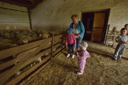 a woman and two children looking at sheep in a barn at BIO Farma & Penzión Zlatý Hýľ in Nováčany