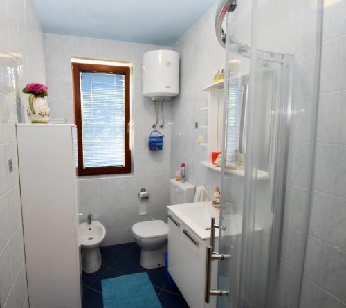 ein Badezimmer mit Toilette, Waschbecken und Dusche in der Unterkunft Apartment Adriana in Rovinj