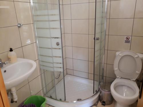 a bathroom with a shower and a toilet and a sink at CHRISTOS Apartments in Paralia Panteleimonos