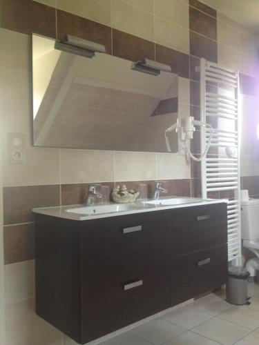 a bathroom with a sink and a mirror at Logis hotel-restaurant les collines 59 route des crêtes in Cublac