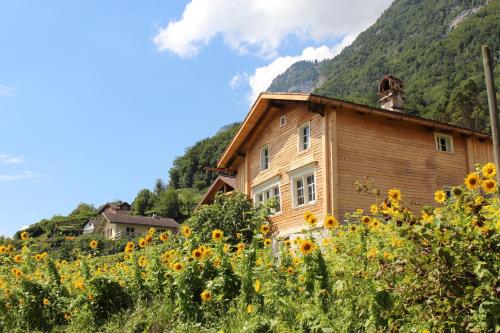 a house in the middle of a field of sunflowers at Haus Bünten in Quinten