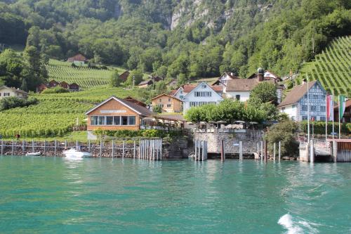 a village on the water with houses and vineyards at Haus Bünten in Quinten