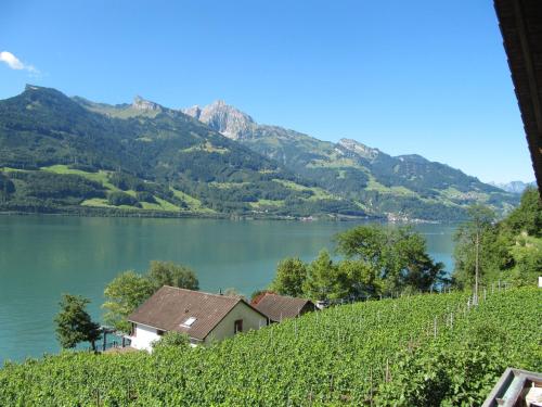 a house on a hill next to a lake at Haus Bünten in Quinten
