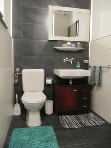 a bathroom with a white toilet and a sink at Arve in Bitsch