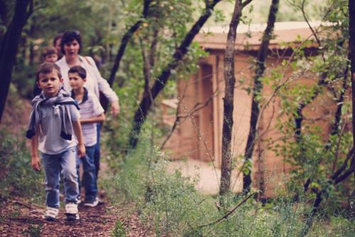 Les Cabanes Dans Les Bois