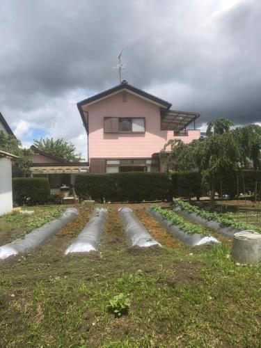 a pink house with pipes in front of a yard at 民宿とまとハウスTomato House in Funehiki