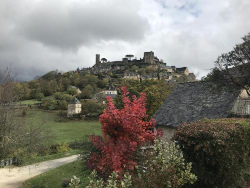a town with a castle on top of a hill at Manoir de Rieuzal in Loubressac