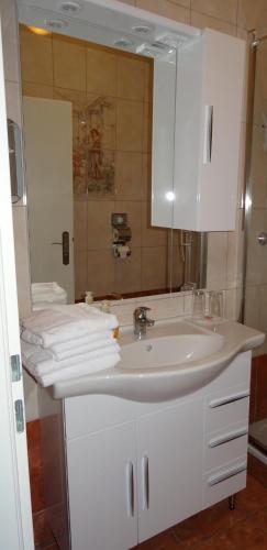 Gallery image of Hotel-Restaurant zum Donaueck Mauthausen in Mauthausen