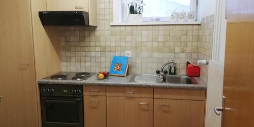 cocina pequeña con fregadero y fogones en "Le Sorelle" Apartments en Ferden