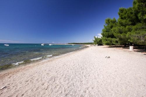 Gallery image of Apartments Tinka in Povljana