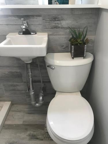 a bathroom with a white toilet and a sink at Boston Homestel in Boston