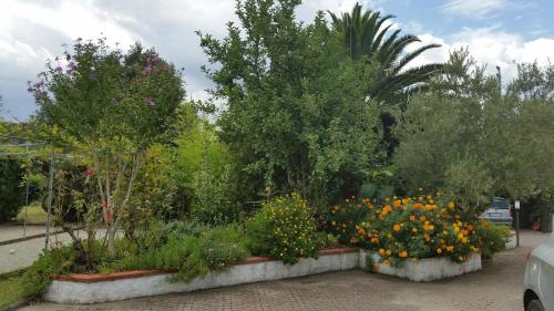 Gallery image of Appartamenti Criage in Campo nell'Elba