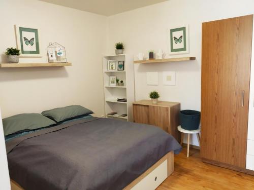 リプノ・ナト・ヴルタヴォウにあるApartmán Pohoda Lipnoのベッドルーム1室(ベッド1台付)、木製キャビネットが備わります。