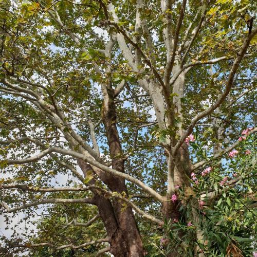 Paesaggio naturale nelle vicinanze dell'appartamento