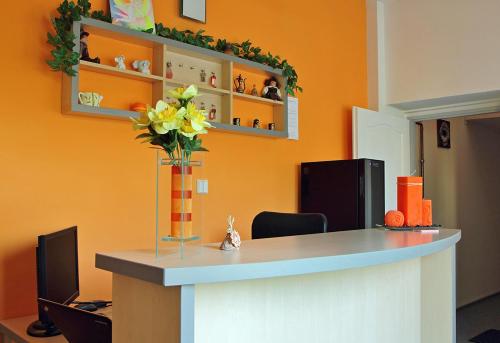 a lobby with a counter with a vase of flowers at Meissa in Mostek