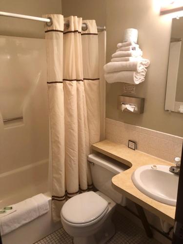 a bathroom with a toilet and a sink and a shower at Byrncliff Golf Resort in Varysburg