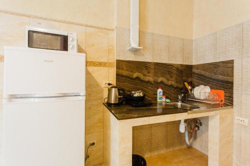 a small kitchen with a sink and a refrigerator at Pechersk House in Kyiv