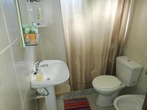 a bathroom with a white toilet and a sink at la casita de colonia 2 in Colonia del Sacramento