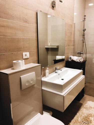 Visiani apartment