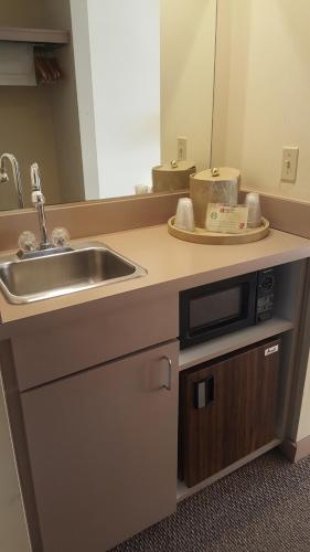 a kitchen counter with a sink and a microwave at Amish Inn in Nappanee