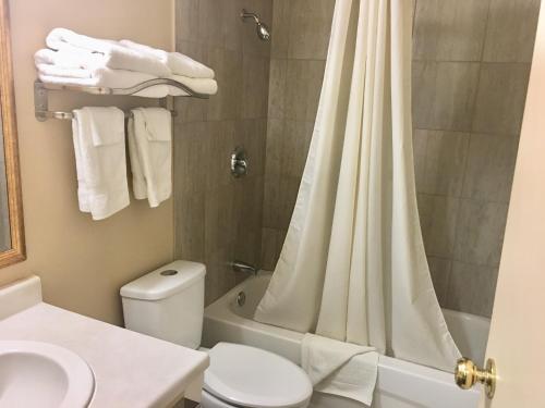 a bathroom with a shower with a toilet and a sink at Valley Inn Motel in Sudbury
