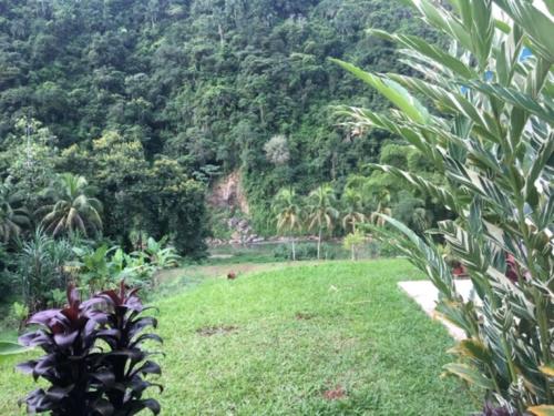 a field of grass with a mountain in the background at Casa de Campo Rio Arriba in Arecibo