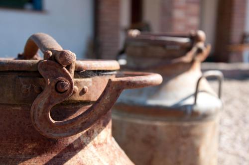a close up of a rusty metal object at Siedlisko Sabinowo in Węgorzewo