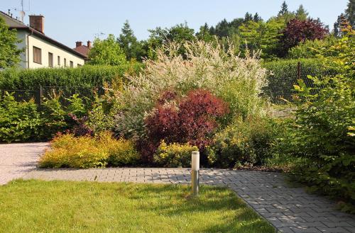 a garden with a bunch of plants in the grass at Meissa in Mostek