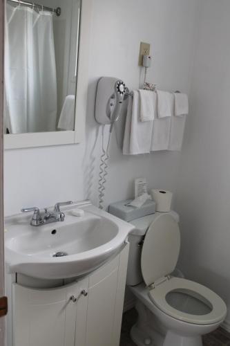 a bathroom with a sink and a toilet and a mirror at Sage Hills Motel in Cache Creek
