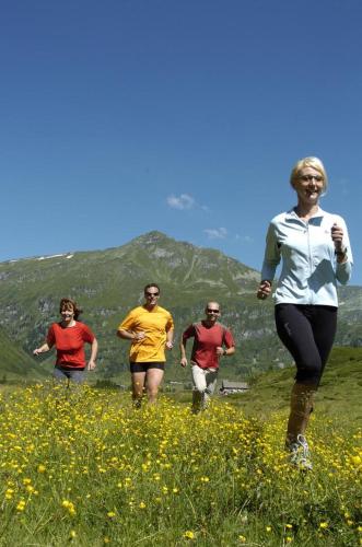 Tetamu yang menginap di Ferienhaus Schiwiese mit freiem Eintritt in die Alpentherme & freie Nutzung der Gasteiner Bergbahnen im Sommer 2025
