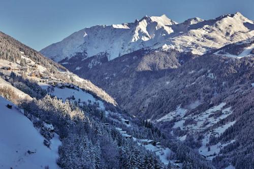 a snow covered mountain with trees and a lake at Apart Ladner in See