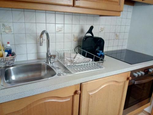 a kitchen sink with a dish drying rack next to it at Appartement Helga in Goldegg