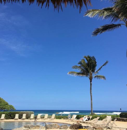 a palm tree next to a beach with the ocean at 2417 at Oceanfront Resort Lihue Kauai Beach Drive Private Condo in Lihue